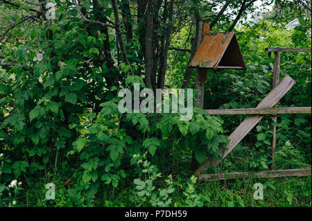 Staccionata in legno e l'alimentatore nel vecchio giardino ricoperta da verde erba e arbusti Foto Stock