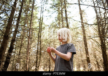 Capelli biondi boy in foresta Foto Stock