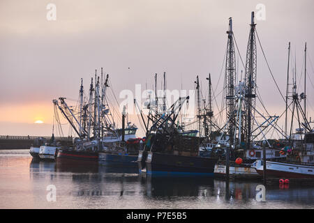 WESTPORT, WASHINGTON-Giugno 18, 2018: Un Rising Sun perfora i banchi di nebbia dietro la pesca commerciale barche ormeggiate nel porto. Foto Stock