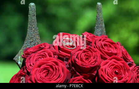 Golden gli anelli di nozze su rose rosse nella parte anteriore delle lancette Foto Stock