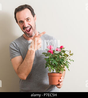 Senior man holding rose fiori sul pot molto felice rivolto con la mano e le dita per lato Foto Stock