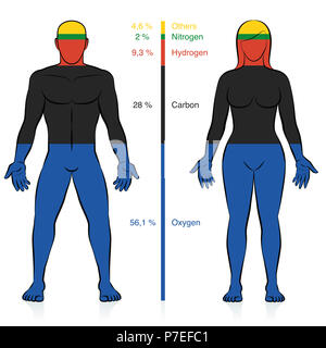 Principali elementi di chimica del corpo umano. Ossigeno, carbonio, idrogeno e azoto con percentuale di informazioni di massa che compongono un peso normale persona. Foto Stock