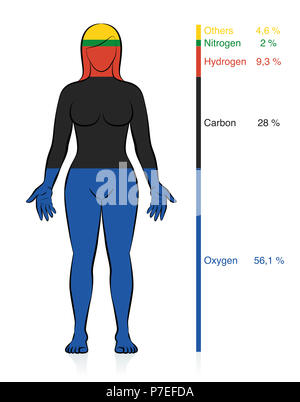 Quantità dei più comuni elementi di chimica di ossigeno, carbonio, idrogeno e azoto nel corpo umano con percentuale di massa. Foto Stock