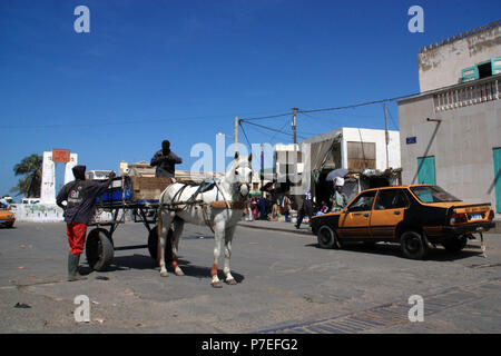 Cavallo bianco nella parte anteriore di un carrello permanente sulla strada principale di Saint-Louis du Sénégal Foto Stock