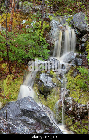 Diario di viaggio. Travel Terranova, Canada. Lungo l'autostrada #470. Paesaggi, paesaggi marini, e cascate, dalla porta AUX PER BASCO ROSE BLANCHE Foto Stock