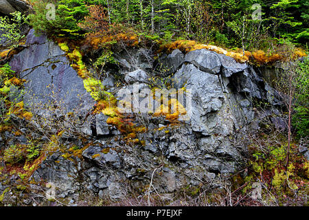 Diario di viaggio. Travel Terranova, Canada. Lungo l'autostrada #470. Paesaggi, paesaggi marini, e cascate, dalla porta AUX PER BASCO ROSE BLANCHE Foto Stock