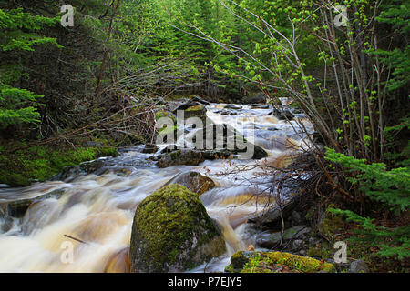 Diario di viaggio. Travel Terranova, Canada. Lungo l'autostrada #470. Paesaggi, paesaggi marini, e cascate, dalla porta AUX PER BASCO ROSE BLANCHE Foto Stock