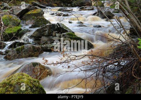 Diario di viaggio. Travel Terranova, Canada. Lungo l'autostrada #470. Paesaggi, paesaggi marini, e cascate, dalla porta AUX PER BASCO ROSE BLANCHE Foto Stock