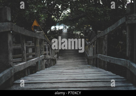 Ponti a Katunggan Parco di mangrovie, Mahinog, Camiguin Island, Filippine. Foto Stock