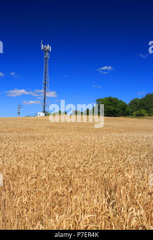 Comunicazioni di ferro torre sulla collina con un campo di grano. Foto Stock