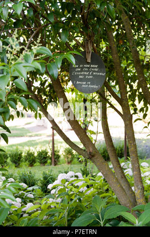 Segno legato ad un albero in giardino Foto Stock