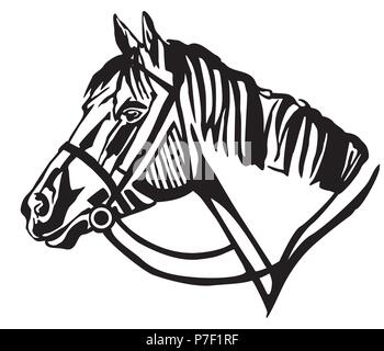 Ritratto decorativo nel profilo del cavallo con la briglia, vettore isolato illustrazione in colore nero su sfondo bianco. Immagine per design e tatuaggio. Illustrazione Vettoriale