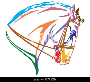 Decorativo colorato ritratto nel profilo del cavallo Andaluso con briglia, illustrazione vettoriale in colori diversi isolati su sfondo bianco. Immagine f Illustrazione Vettoriale