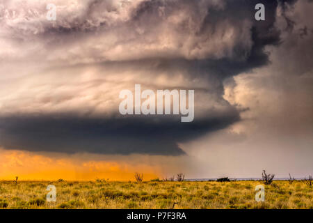 Grande e potente tornadic supercell storm mobile al di sopra delle Grandi Pianure durante il tramonto, impostazione della fase di formazione di tornados attraverso Tornado Al Foto Stock