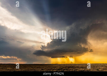 Grande e potente tornadic supercell storm mobile al di sopra delle Grandi Pianure durante il tramonto, impostazione della fase di formazione di tornados attraverso Tornado Al Foto Stock