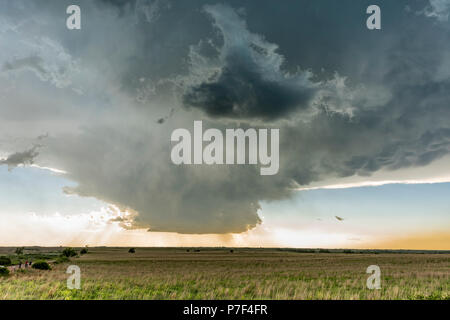 Grande e potente tornadic supercell storm mobile al di sopra delle Grandi Pianure durante il tramonto, impostazione della fase di formazione di tornados attraverso Tornado Al Foto Stock