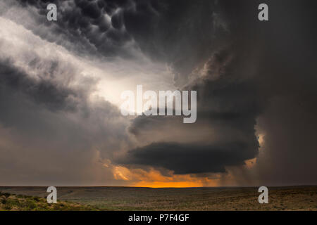 Grande e potente tornadic supercell storm mobile al di sopra delle Grandi Pianure durante il tramonto, impostazione della fase di formazione di tornados attraverso Tornado Al Foto Stock