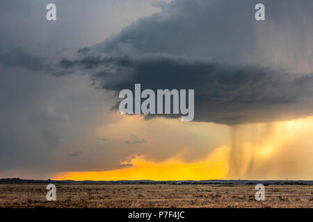 Grande e potente tornadic supercell storm mobile al di sopra delle Grandi Pianure durante il tramonto, impostazione della fase di formazione di tornados attraverso Tornado Al Foto Stock