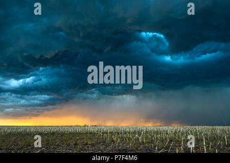 Una tempesta mezocyclone con scuri, nuvole grigie e formare al di sopra della pianura in tornado alley, Oklahoma al tramonto Foto Stock