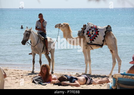 Cavallo tunisino rider con imbrigliato camel è in attesa per i clienti su una spiaggia in Hammamet sulla riva del Mediterraneo con nave turistica visto sull'orizzonte Foto Stock