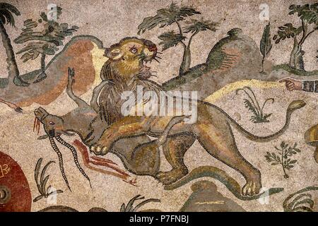 Pavimento a mosaico di un leone strappo un antilope, corridoio della grande caccia, Villa Romana del Casale, IV secolo d.c. villa romana Foto Stock