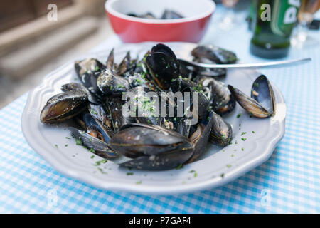 Cozze su una piastra, Split, Croazia Foto Stock