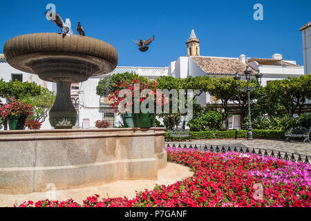 Plaza de las flores a Estepona Foto Stock
