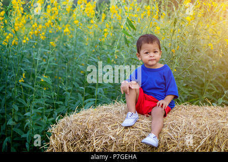 Bambino asiatico in maglietta blu e pantaloncini rossi contro il fiore giallo dello sfondo dei campi. Foto Stock