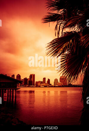 Bel tramonto su San Diego skyline con bay e palme Foto Stock