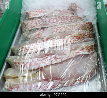 Red snapper bistecche avvolte nel cellophane su ghiaccio al mercato del pesce Foto Stock