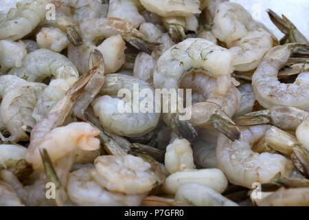 Materie gamberi di allevamento su ghiaccio al mercato di frutti di mare Foto Stock