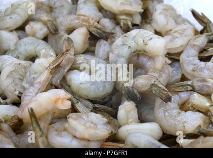 Materie gamberi di allevamento su ghiaccio al mercato di frutti di mare Foto Stock