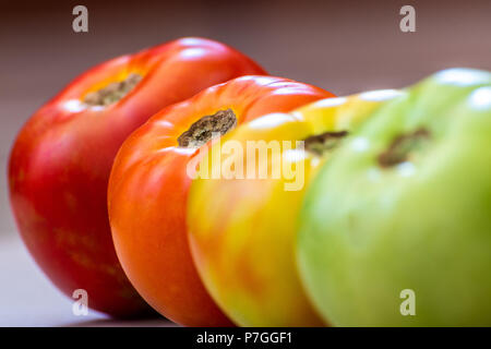 Pomodori a diversi stadi di maturazione. Concetto. La messa a fuoco è su luce rosso pomodoro. Gli stadi sono verde e poi girando quindi luce in rosso e poi in rosso. Foto Stock