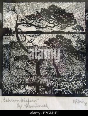 Fotocamere digitali Olympus 15 Albert König Schirmkiefern1 Foto Stock