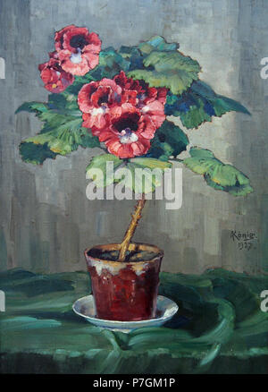 Fotocamere digitali Olympus 15 Albert König Blume im Topf 01 Foto Stock