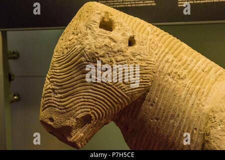 Toro del Parque, museo arqueologico y de Historia de Elche Alejandro Ramos Folqués, Elche, Alicante, Comunidad Valenciana, Spagna, Europa. Foto Stock