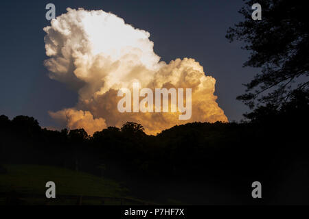 Estate Thunderhead su alberi Foto Stock