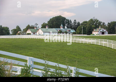Keeneland, un allevamento di cavalli in Kentucky, durante un tramonto d'estate. Foto Stock