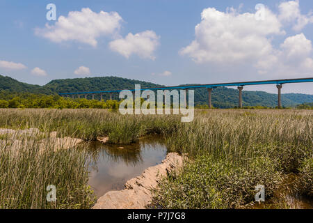 Il fiume Susquehanna sotto Holtwood Dam e vicino alla serratura 12 Foto Stock