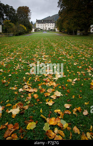 Foglie di autunno cadono sul long drive prato di Traquair House in Scozia. Foto Stock