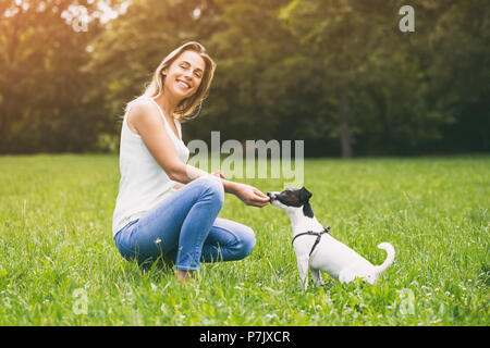 Bella donna gode di alimentare la sua cute cane Jack Russell Terrier nella natura. Foto Stock