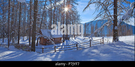 Austria, Tirolo, Obsteig, Larchsteig in abito invernale Foto Stock