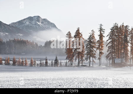 Austria, Tirolo, tardo autunno sull'altopiano di Mieming Foto Stock