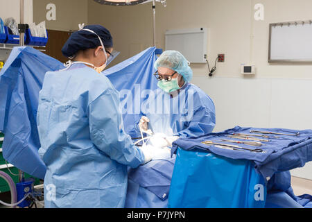 Procedura chirurgica eseguita in sala operatoria Foto Stock