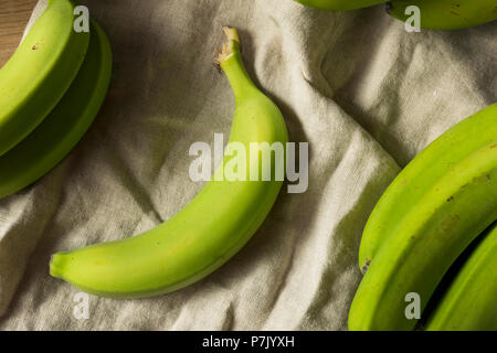 Materie organiche Green banane acerbe a grappolo Foto Stock