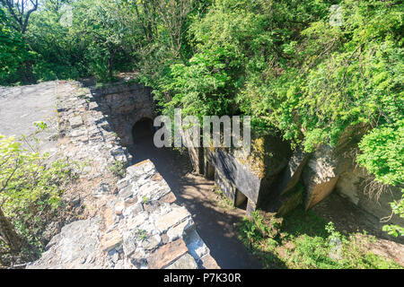 Antica distrutta la parete ricoperta con piante Foto Stock