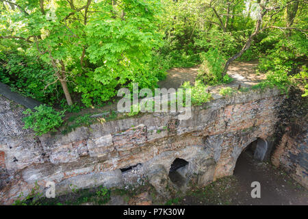Antica distrutta la parete ricoperta con piante Foto Stock