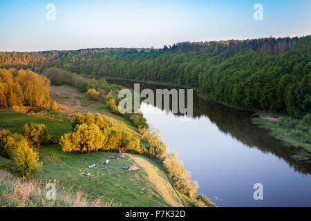 Una vista pittoresca del grande fiume circondato da foresta estate Foto Stock