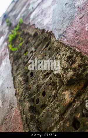 Erosi rosso e nero a parete con umidità e alcune piante verdi da mattoni usurati in un edificio condannato. Foto Stock