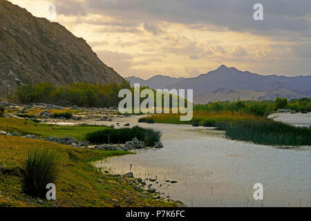 Stony alveo del fiume Orange / Oranjerivier confine (fiume) in Richtersveld, al lato opposto della Namibia, Namaqua, Sud Africa Foto Stock